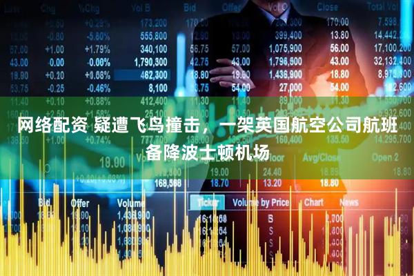 网络配资 疑遭飞鸟撞击，一架英国航空公司航班备降波士顿机场