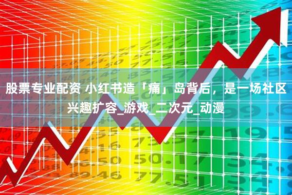 股票专业配资 小红书造「痛」岛背后，是一场社区兴趣扩容_游戏_二次元_动漫